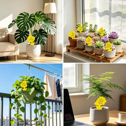 Yellow Sticky Traps for Plant Gnats, 50 Pack Fungus Gnat Trap, Effective Sticky Gnat Traps for Indoor and Outdoor Plants