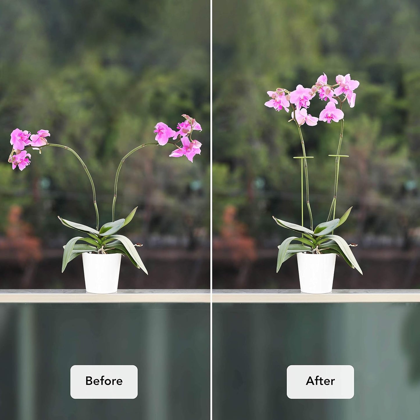 2 Pack Plant Stakes | Plant Supports for Tall Plants and Flowers | Green Garden Stakes | Help Your Flowers Grow | Tomato Cages for Garden | Plant Sticks for Orchid, Amaryllis, Peony, Peppers and More