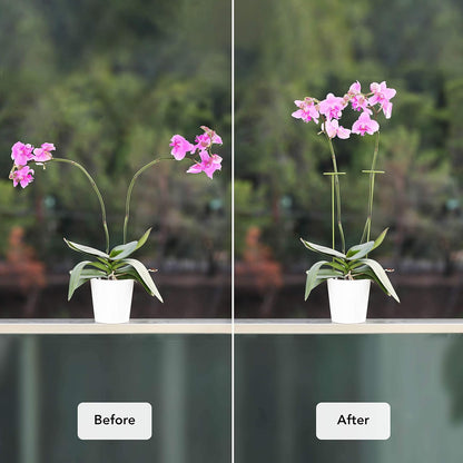 2 Pack Plant Stakes | Plant Supports for Tall Plants and Flowers | Green Garden Stakes | Help Your Flowers Grow | Tomato Cages for Garden | Plant Sticks for Orchid, Amaryllis, Peony, Peppers and More