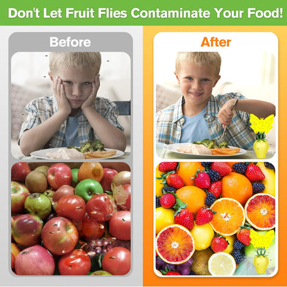 Fruit Fly Trap for Indoors,2025 Upgrade Fruit Flies Gnat Killer with Yellow Sticky Fruit Fly Traps,Safe and Non-Toxic Fruit Flies Traps,Odorless Fly Insect Trap for Home,Kitchen,Plants (Yellow,2 Pack)