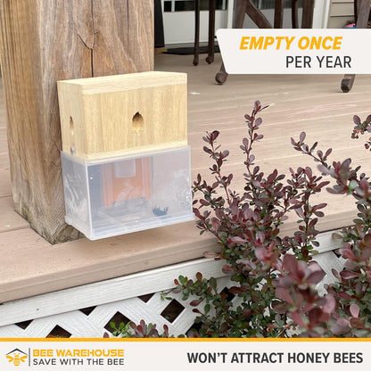 Carpenter Bee Trap - Wood Boring Bee Trap - Unique Catch & Release Outdoor Carpenter Bee Trap - Includes Hanging Hardware & 5 Bee Dams