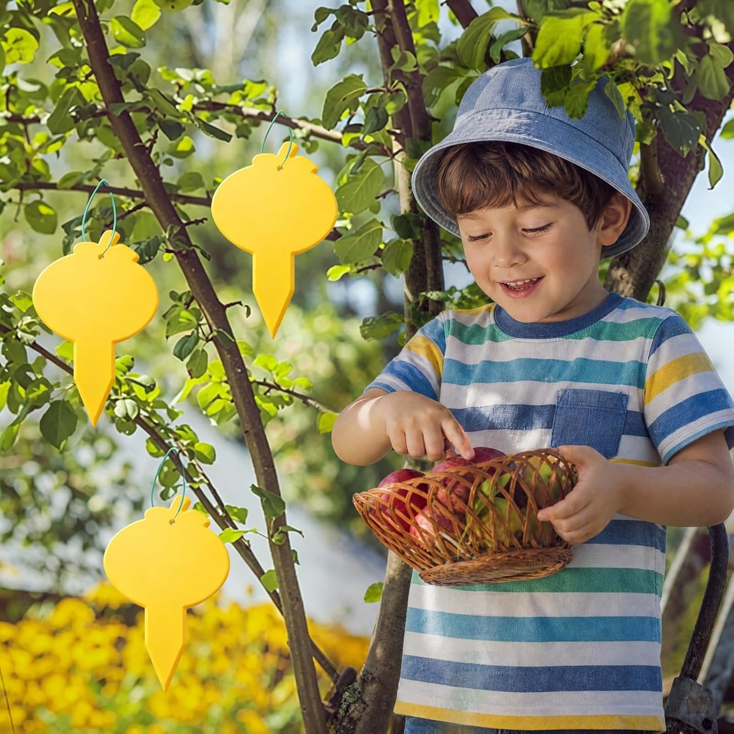 40 Pcs 5 Shapes Yellow Extremely Sticky Traps for Fungus Gnat, Fruit Fly, Fly, Whitefly, Flying Insect Catcher Traps for Houseplants, Kitchen, Indoor/Outdoor, Non-Toxic, Odorless, Pet and Kid Safe