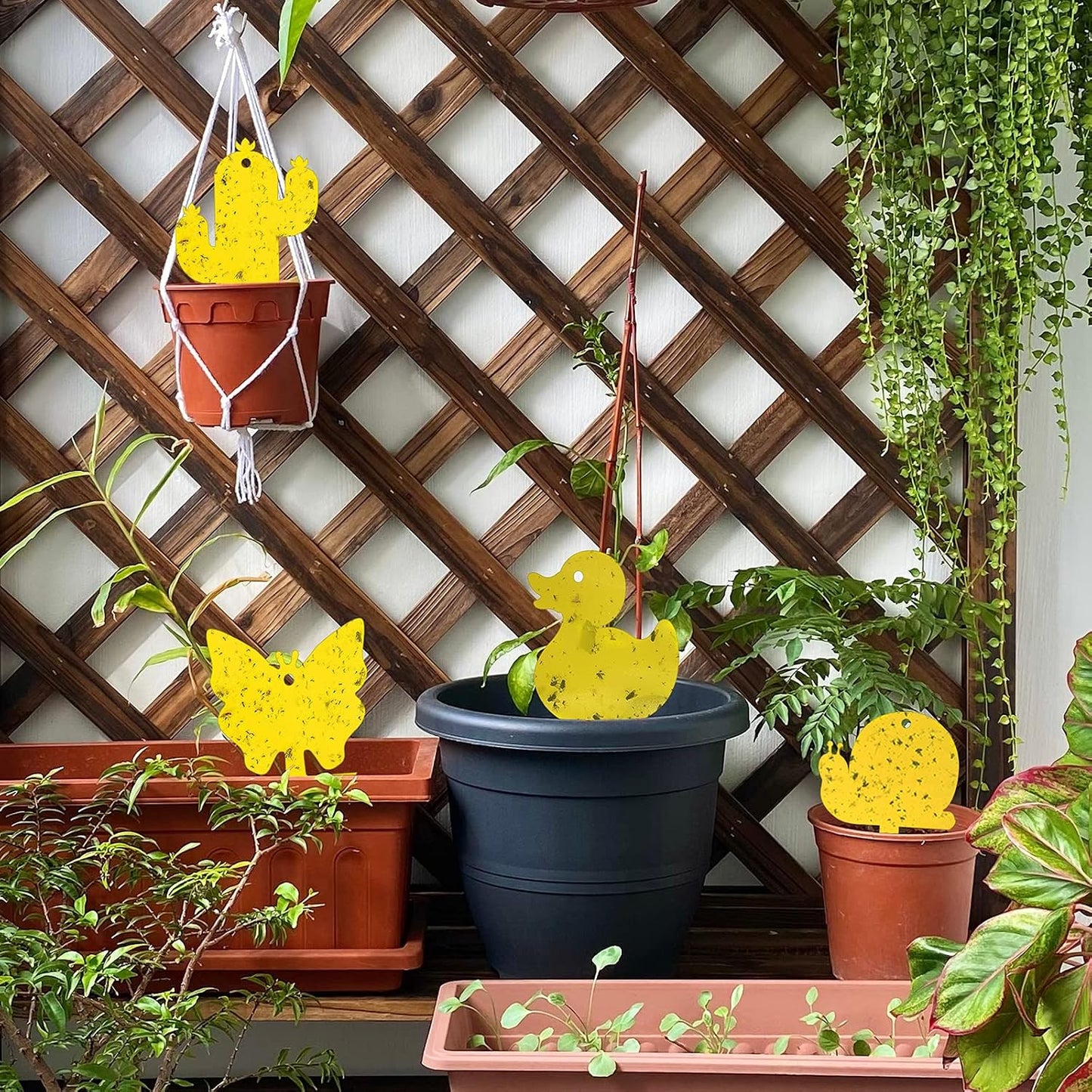 Gideal 2-Pack Yellow Sticky Fly Traps Pest Control for Indoor/Outdoor Use, Gnat Trap for Flying Plant Insect