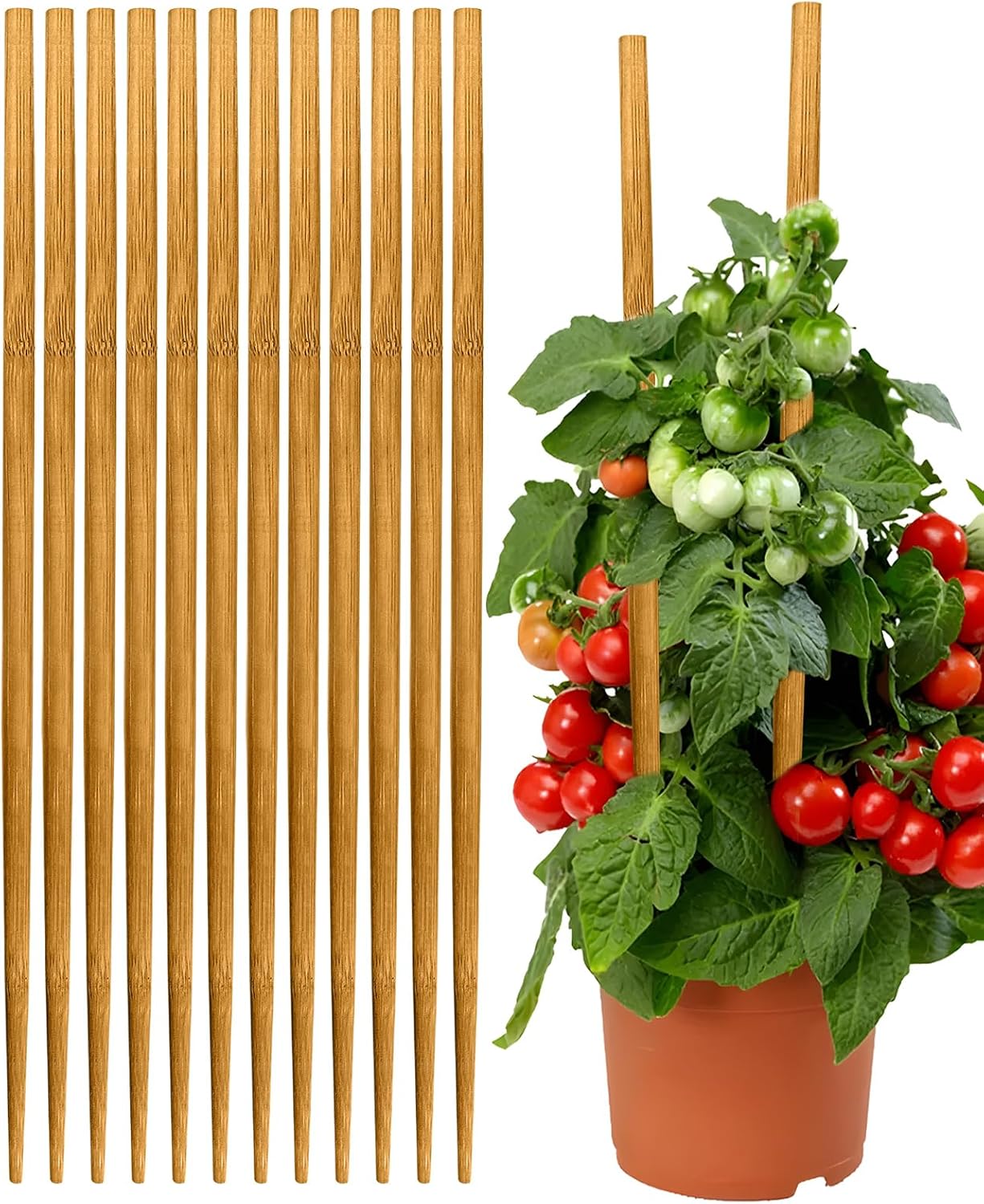 12 Pack 17.5 Inch Plant Stakes for Indoor Plants,Bamboo Sticks for Plants Bamboo Poles Plant Support Stakes Garden Supplies Tomato Trellis for Outdoor Plants
