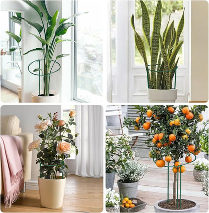 12 Pack Plant Support Stakes, 10" Wide x 24" High Half Round Metal Peony Cages and Support, Green Garden Plant Stake Plant Support Ring Border for Peony Tomato, Hydrangea, Flower Indoor Outdoor
