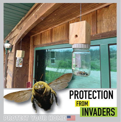 Billy Bob Carpenter Bee Trap - Made in the USA - Solid Wood Top - Outdoor Insect Trap for Carpenter Bees - Old Fashioned Mason Jar Design