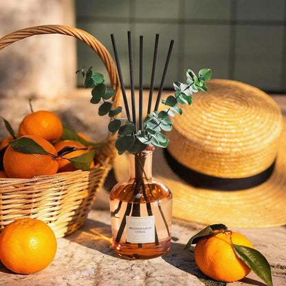 COCORRÍNA Wild Mint & Eucalyptus Reed Diffuser – 6.76 oz Essential Oil with 8 Reeds & Real Eucalyptus Sticks, Home Fragrance for Bedroom or Bathroom Décor