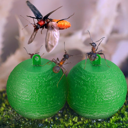 Qualirey 10 Pcs Sticky Fruit Fly Trap Ball Adhesive Fly Catching Ball Sticky Glue Fly Gnat Wasp Hornet Mosquito Bugs Flying Insects Trap Ball Traps (Yellow)