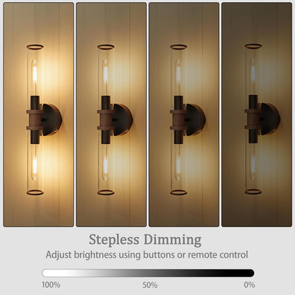 Wireless Wall Sconces with Remote Control, Battery Operated Wall Sconce Set of 2 with Timer, Gold Rechargeable Dimmable Glass Wall Lights for Living Room Bedroom Hallway Entryway 3000K, 20.5 Inch