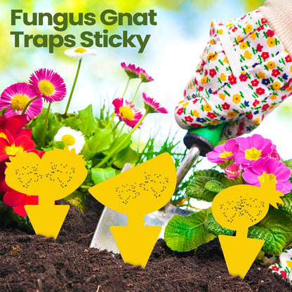 200 Sheets Fruit Fly Sticky Traps for Fruit Fly Gnat Trap for House Indoors Sticky Traps Catcher for Gnats Fungus Gnats Mosquito Catcher for Kitchen Outdoor Plants(Yellow)