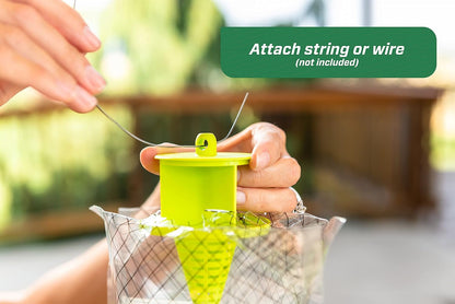 RESCUE! Big Bag Fly Trap – Disposable, Outdoor Use - 10 Traps