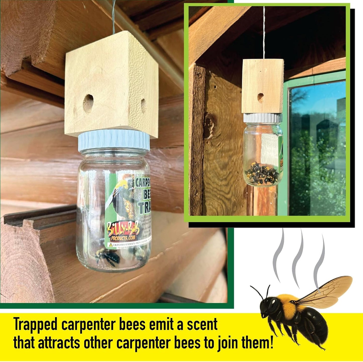 Billy Bob Carpenter Bee Trap - Made in the USA - Solid Wood Top - Outdoor Insect Trap for Carpenter Bees - Old Fashioned Mason Jar Design