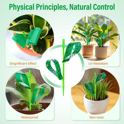 100 Pcs Gnat Sticky Traps for Plants, Sticky Traps for Gnats with 20 Stakes to Control, Aphids, Plant Bug, Mosquito Bits and Whiteflies(Green)