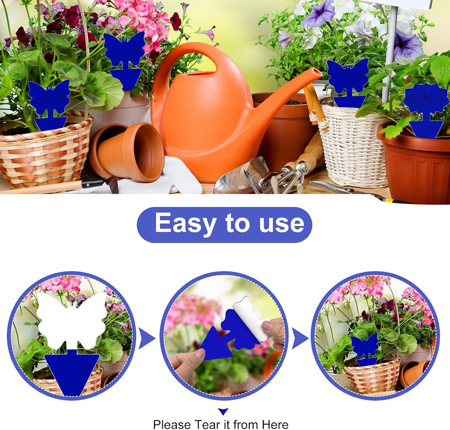Fruit Fly Traps, 100 Pack Yellow Sticky Traps, Fungus Gnat Traps, Plant Fly Stickers for Indoor and Outdoor Use Protect The Plant