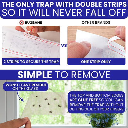 50 Window Fly Traps Sticky Non-Toxic Clear Fly Paper Indoor for Home. No Mess Flies Window Sticky Traps Bug Flies Strips Indoors. Fruit and Housefly Trap Indoor Flypaper Tape Gnat Catcher Killer.