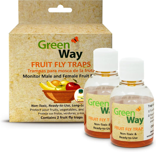 Greenway Traps Fruit Fly Trap, Indoor and Kitchen, Reduces Fruit Fly Infestations, Non-Toxic, Long-Lasting, 1 Pack (Includes 2 Traps)