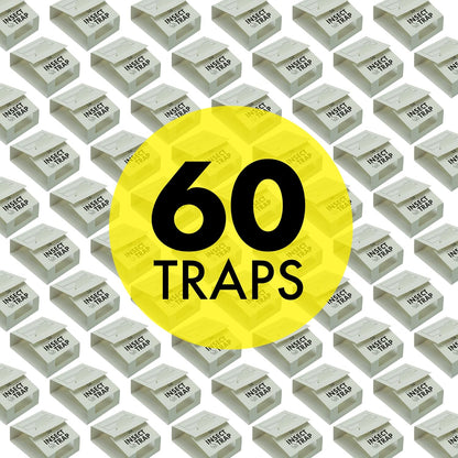 S&T INC. 30pk Insect Traps, Brown Recluse, Hobo Spiders, Black Widows, White, 30 Count