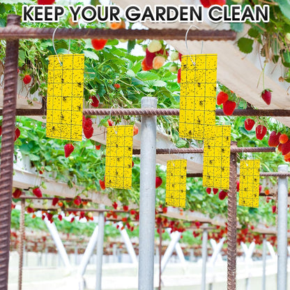 Qualirey 100 Sticky Trap for Gnats 3 x 5'' Dual Side Sticky Fruit Fly Trap with Tie Plant for Flying Insect Fungus Bugs Flying Catcher for Indoor (Dark Blue)