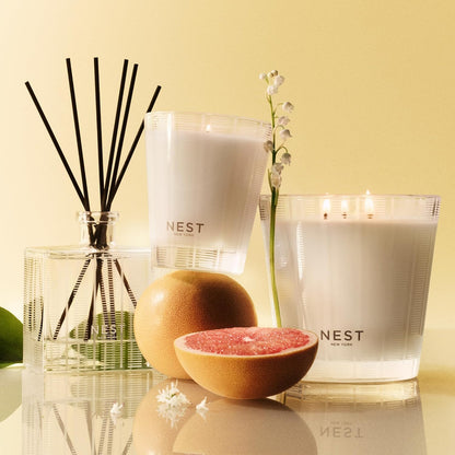 NEST New York Reed Diffuser, Moroccan Amber - 5.9 fl oz - Fragrance for Up to 90 Days - Reusable, Refillable Glass Holder - Includes 8 All-Natural Reed Sticks - Flame Free