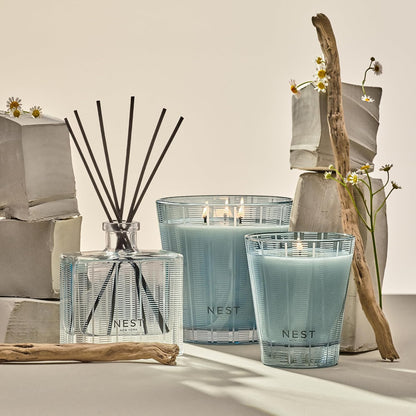 NEST New York Reed Diffuser, Wild Mint & Eucalyptus - 5.9 fl oz - Fragrance for Up to 90 Days - Reusable, Refillable Glass Holder - Includes 8 All-Natural Reed Sticks - Flame Free