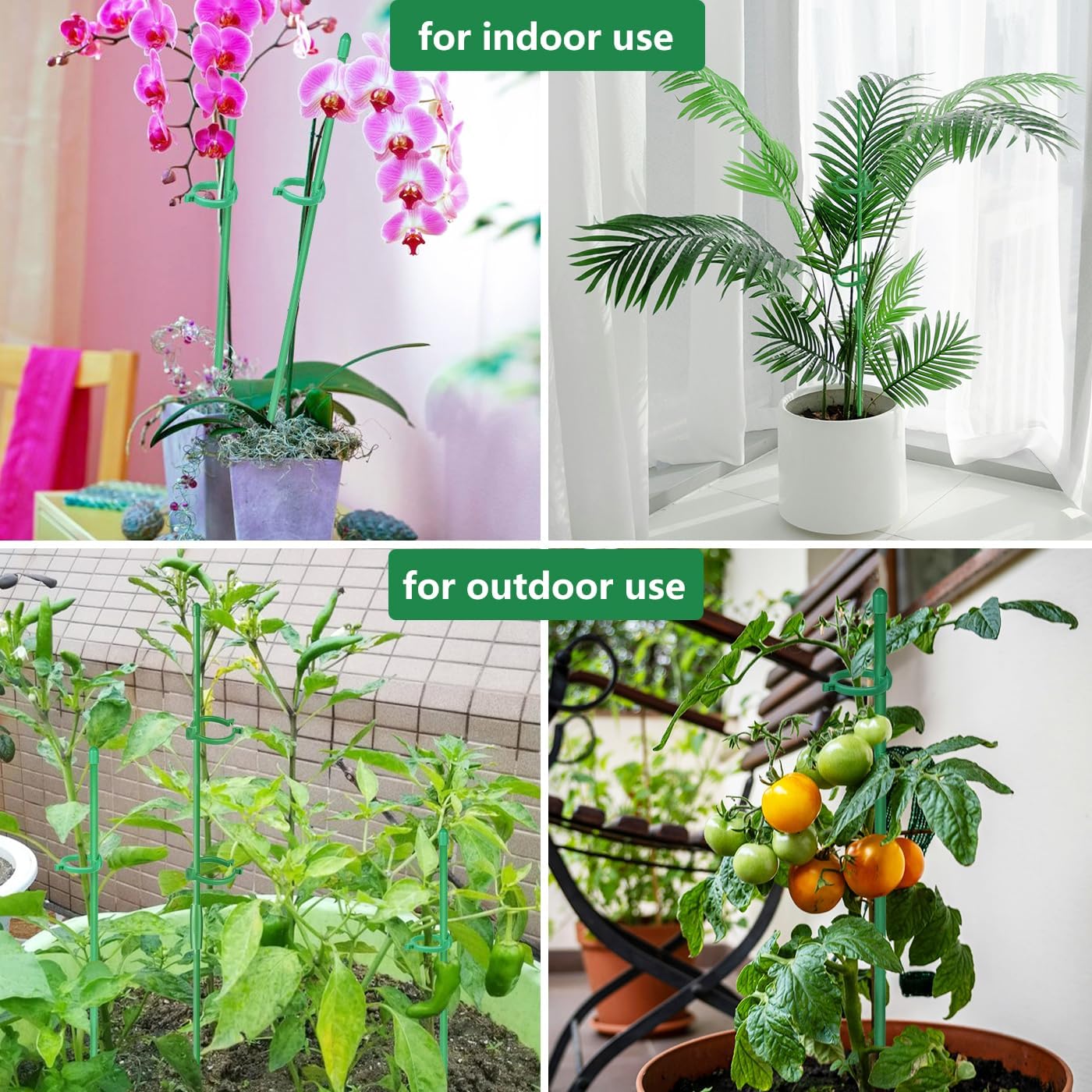 Belit 8 Pack Small Plant Support Plant Stakes, Garden Flowers Green Plant Support Ring, Planter Support Ring for Schlumbergera, Clivia, Vegetables, 5.5" Wide x 9.8" High