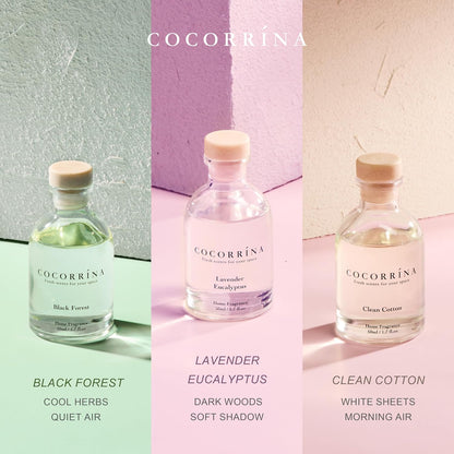 COCORRÍNA Eucalyptus Reed Diffuser Set of 3 - Eucalyptus & Moss, Clean Linen, Ocean Mist Scents, 1.7 fl oz Each, Total 5.1 oz, Scented Oil Diffusers for Home & Office