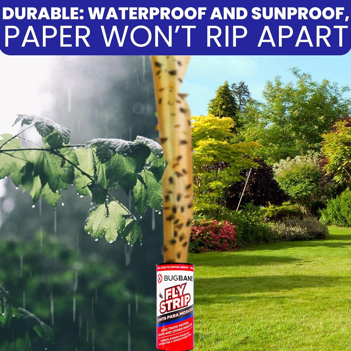 Fly Strips Indoor Sticky Hanging 10pk with Pins. Non Toxic Outdoor Fly Trap Indoor for Home. Flies Tape Paper Trap Ribbon Roll for House Gnat Fruit and Housefly. Bug Catchers for Inside Home Flypaper.