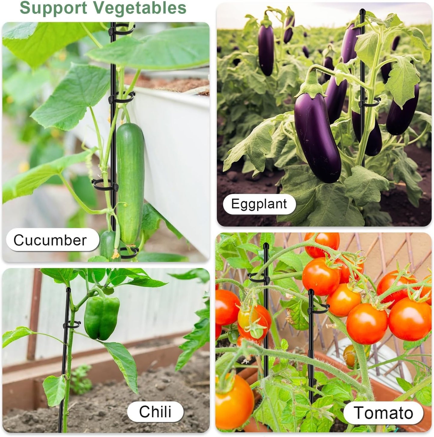 Plant Support Stakes for Indoor SupKing Orchid Sticks with Clips Garden Stake Extended to 2/3/4ft for Outdoor Potted Tomato Rose Vegetables House Palnts Comes with 20 Plants Ties(15 inch 10Pcs)