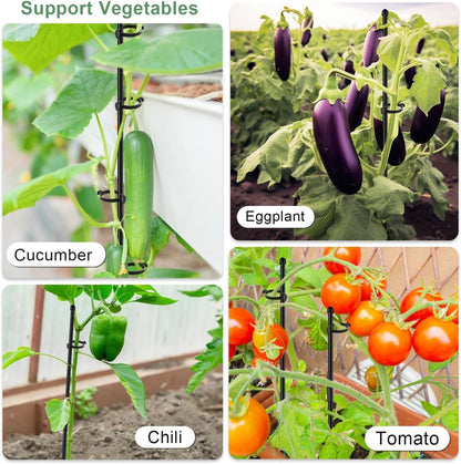 Plant Support Stakes for Indoor SupKing Orchid Sticks with Clips Garden Stake Extended to 2/3/4ft for Outdoor Potted Tomato Rose Vegetables House Palnts Comes with 20 Plants Ties(15 inch 10Pcs)