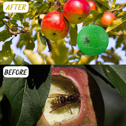 Qualirey 10 Pcs Sticky Fruit Fly Trap Ball Adhesive Fly Catching Ball Sticky Glue Fly Gnat Wasp Hornet Mosquito Bugs Flying Insects Trap Ball Traps (Yellow)