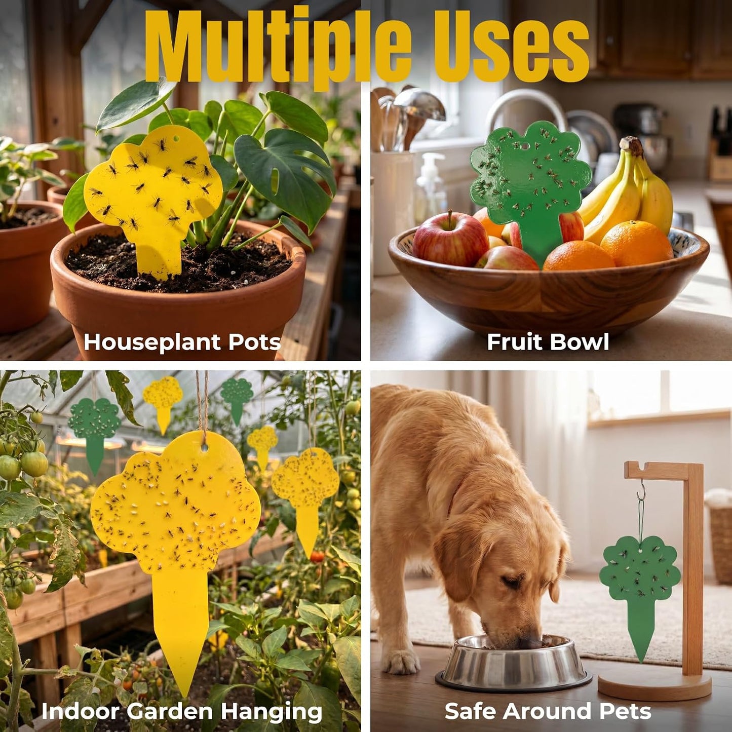 100 Pack Yellow & Green Sticky Gnat Traps for Plants - Fungus Gnat Killer, Fruit Fly Traps for Indoors, Gnat Sticky Traps for Plants, Family Friendly Design, Flower + Cloud Shapes