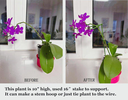 16 Inch Orchid Stakes Pack of 20, Plant Support Stake Bendable Orchid Stick