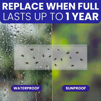 50 Window Fly Traps Sticky Non-Toxic Clear Fly Paper Indoor for Home. No Mess Flies Window Sticky Traps Bug Flies Strips Indoors. Fruit and Housefly Trap Indoor Flypaper Tape Gnat Catcher Killer.