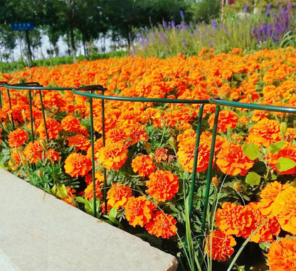 6 Pack 15.8 Inch High Plant Stake,Garden Plant Support,Half-Round Peony Cage Plant Ring Hoop