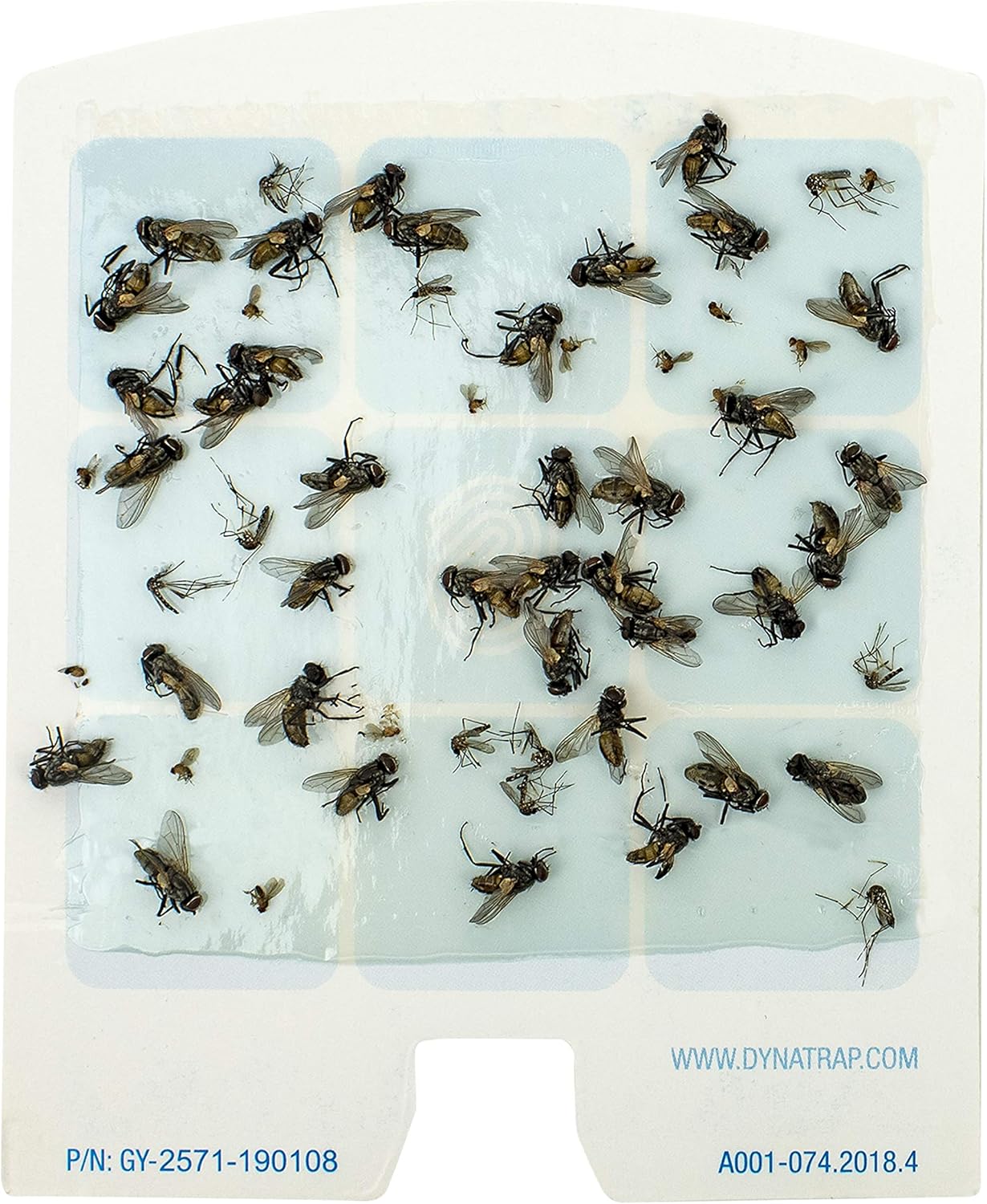 DynaTrap 23005-0612 DOT StickyTech Replacement Indoor Flying Insect Trap Glue Cards - 6 Pack