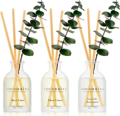COCORRÍNA Eucalyptus Reed Diffuser Set of 3 - Eucalyptus & Moss, Clean Linen, Ocean Mist Scents, 1.7 fl oz Each, Total 5.1 oz, Scented Oil Diffusers for Home & Office