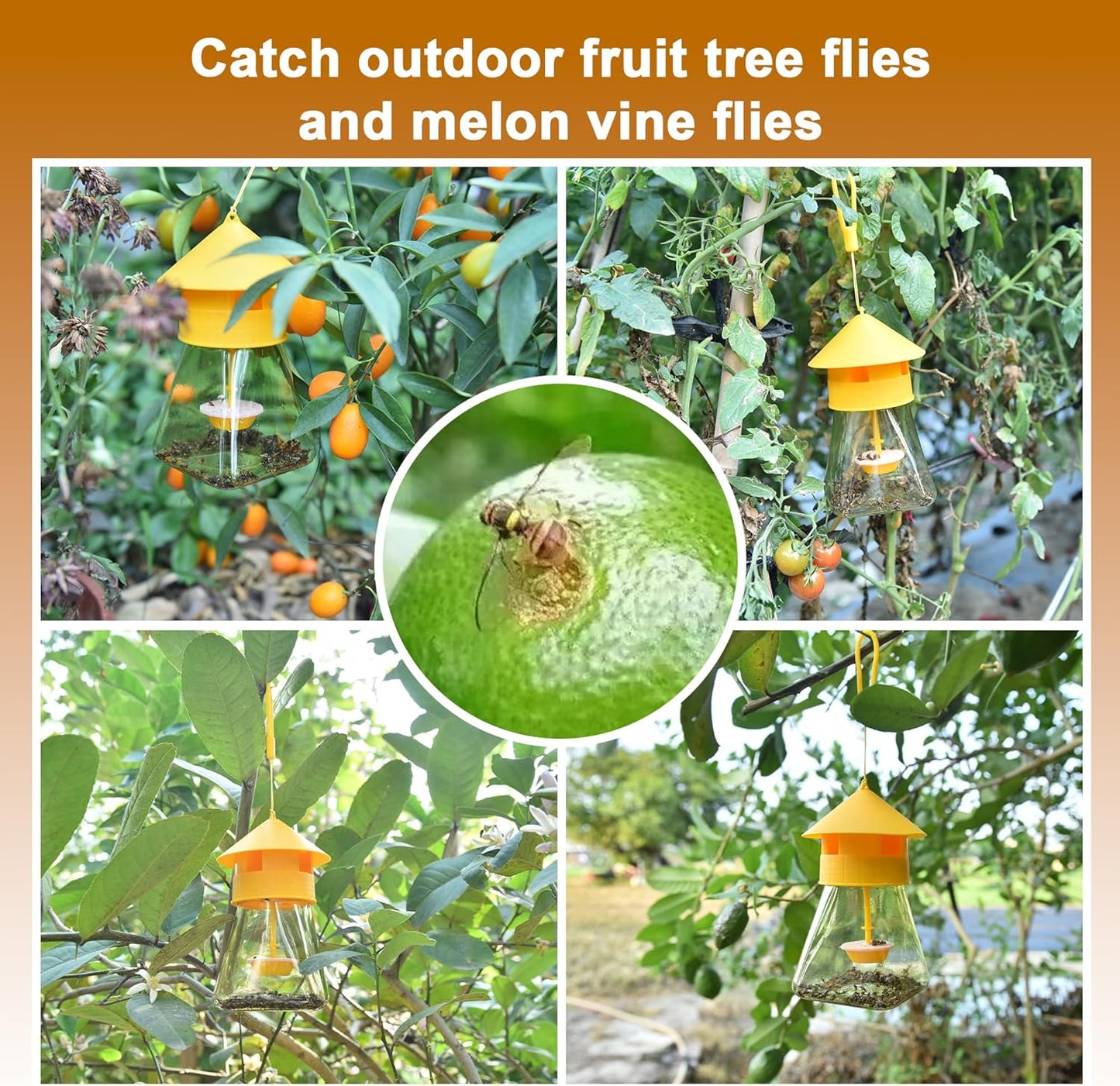 Outdoor Fly Traps with Natural Fruit Fly Bait Refill,Reusable Fruit Flies Trap Jar for Fruit and Vegetable Garden(Only Catch Fruit Trees and Melon Vines Fly)