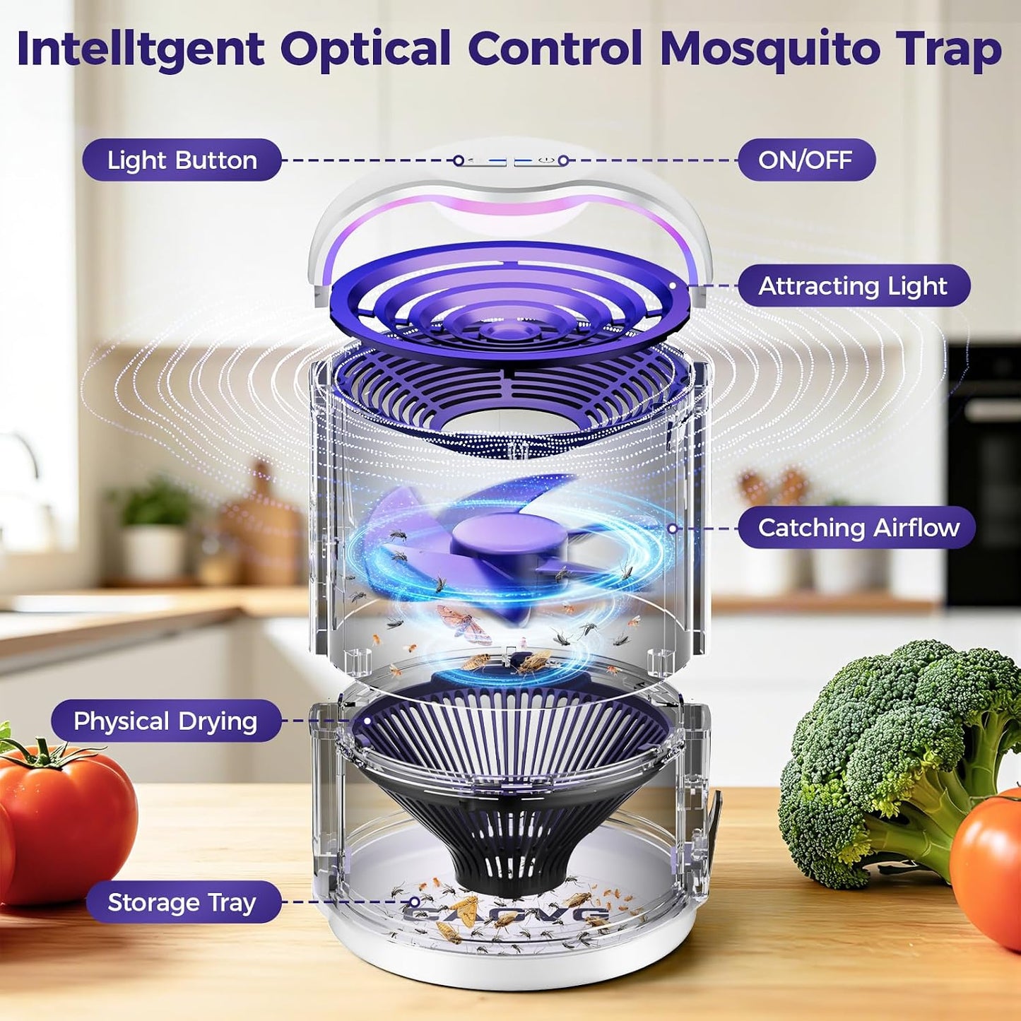 Fly Trap Indoor, Fruit Fly Traps for Indoors with Suction & Adjust Light | Plug-in Gnats Killer Catcher with 365-395 nm Wavelengths for House Flies, Mosquito, Bug, Gnats, Low Noise, 10 Refills, Black