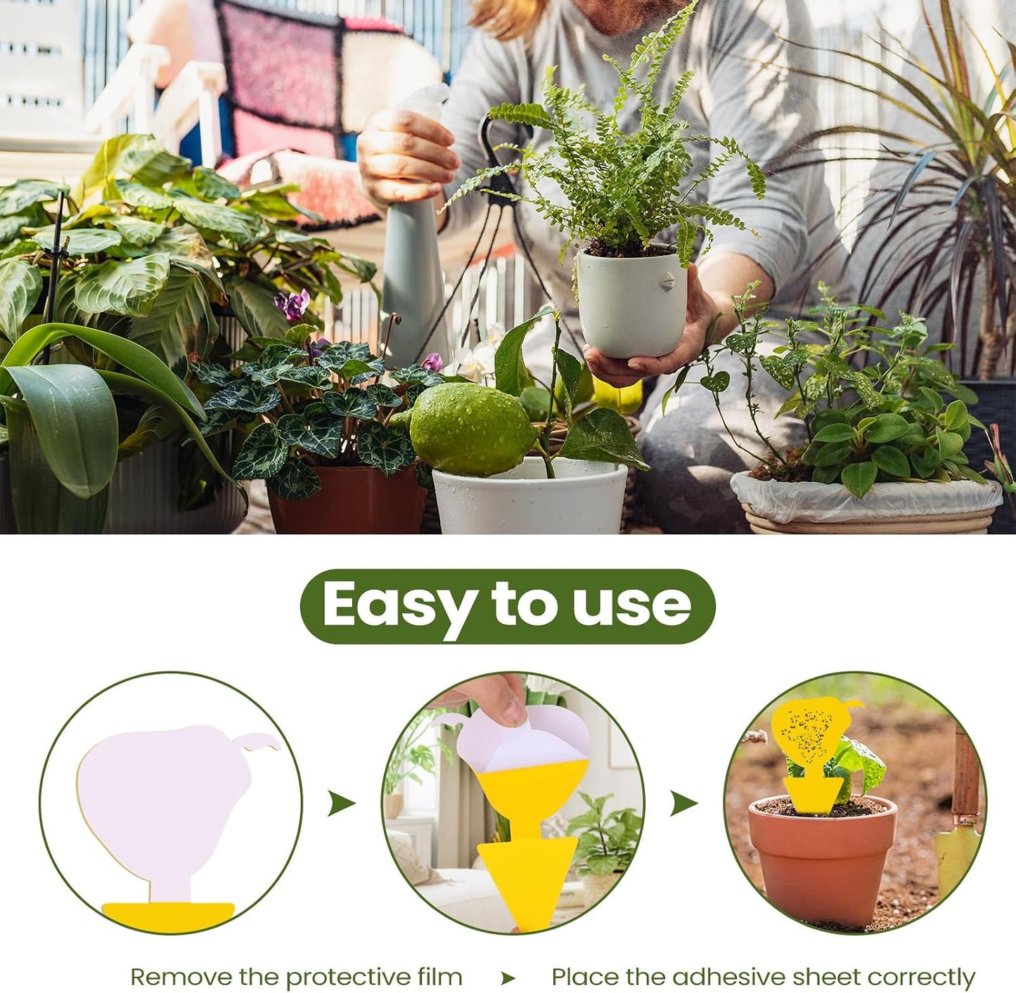 200 Sheets Fruit Fly Sticky Traps for Fruit Fly Gnat Trap for House Indoors Sticky Traps Catcher for Gnats Fungus Gnats Mosquito Catcher for Kitchen Outdoor Plants(Yellow)