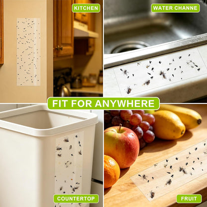 Landisun Fly Trap Indoor Fruit Fly Traps Mosquitos Gnat Windows Bug Sticky Glue Traps 30 Pack
