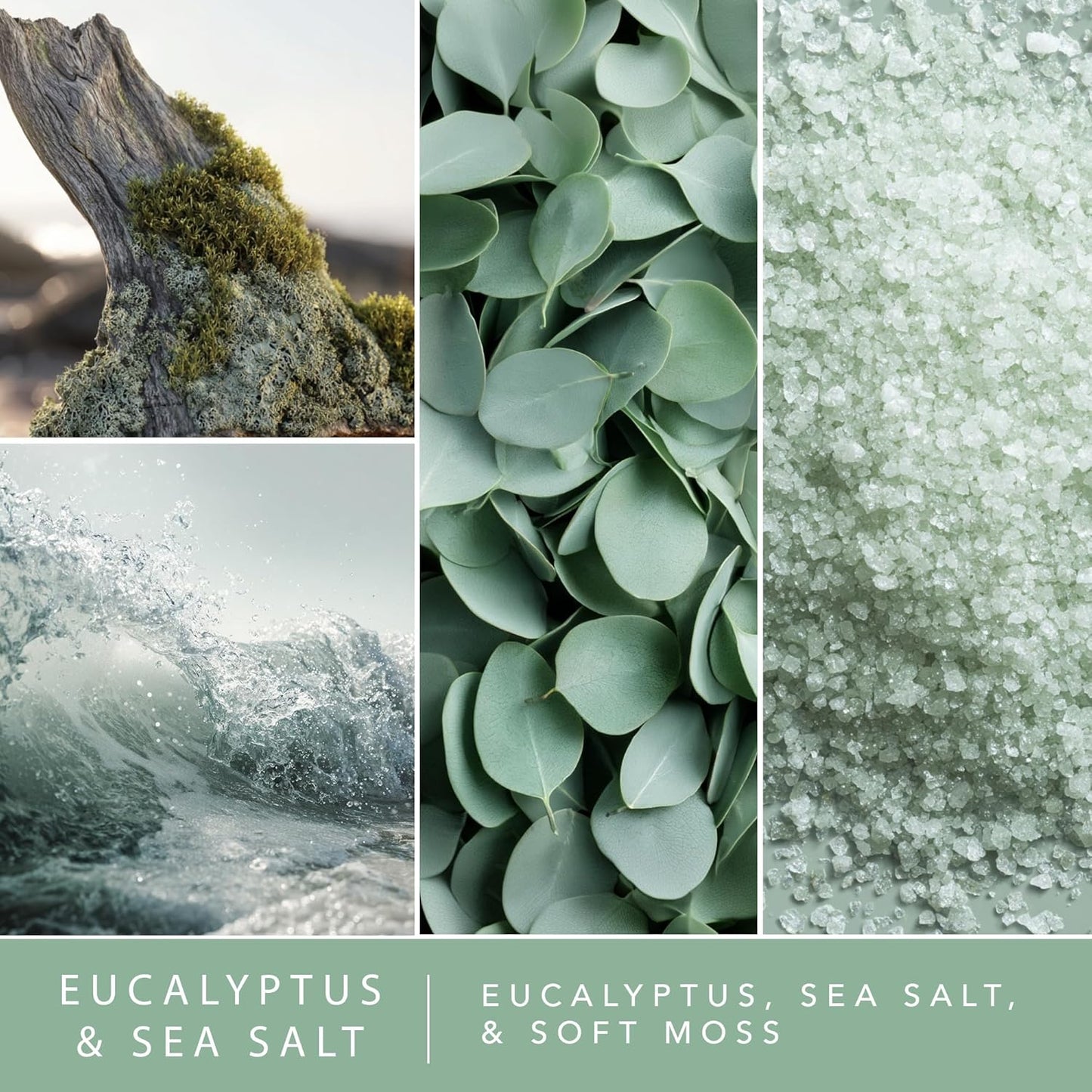 ScentSationals Water-Based Reed Diffuser - Eucalyptus & Sea Salt - 5 FL OZ Aromatherapy Reed Diffuser