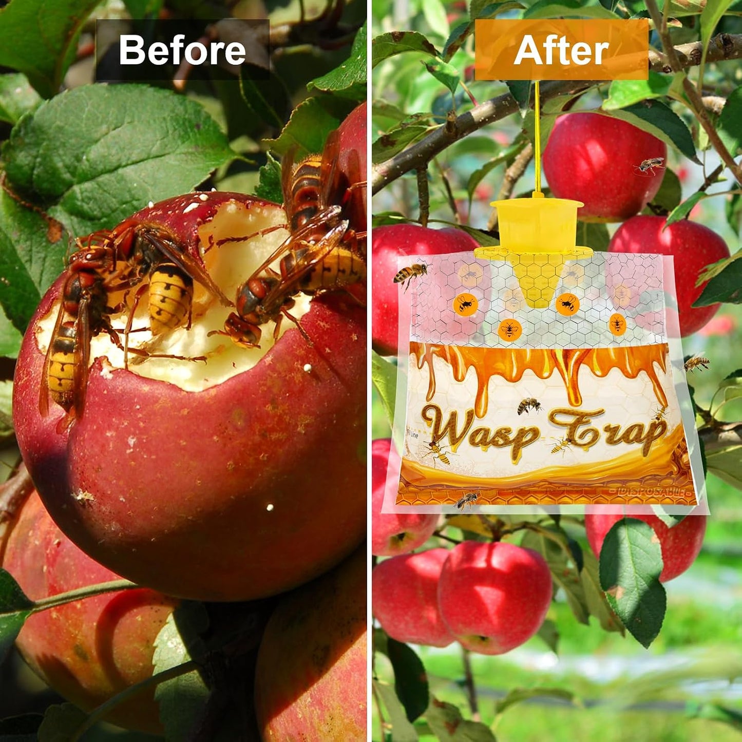 8 Pack Disposable Wasp Traps Outdoor Hanging Carpenter Bee Traps for Outside Yellow Jackets Trap Hornet Trap Wasp Catcher Bug Flies Garden