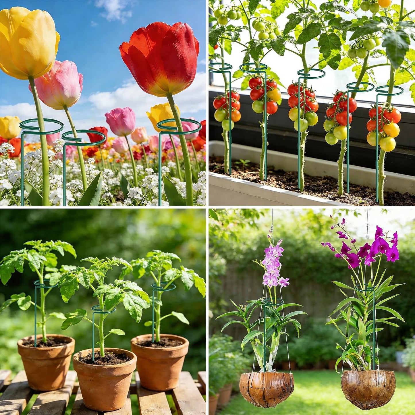 Unves 24 in Plant Stakes, 12 Pack Garden Plant Support Stakes(12" or 24") | Single Stem Plant Cage for Outdoor Indoor Plants Orchid, Tomatoes, Peony, Lily, with 100 Pcs Twist Ties