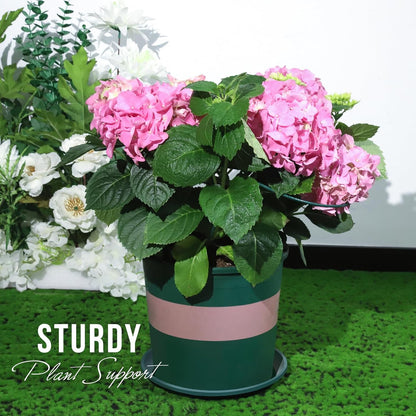 LEOBRO Plant Support, 8PCS Peony Cages and Supports, Plant Stakes for Indoor Plants, Outdoor Plants, Metal Garden Stakes, Plant Holders, Tomato Monstera Hydrangea Support Cage, 10" W x 15.8" H