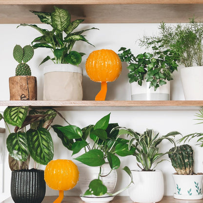 Qualirey 10 Set Sticky Fruit Fly Trap Balls Yellow Adhesive Fungus Gnat Sticky Balls for Plants Fly Catching Sticky Balls Indoor Outdoor Garden Kitchen Fly Gnat Flying Insects Trap Ball Traps