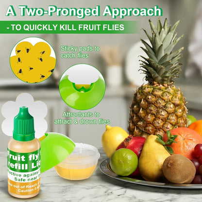 Qualirey Fruit Fly Trap for Indoors, 4 Pack Fruit Fly Trap with 4 Refill Liquid and 60 Yellow Sticky Pads, Safe Near Pets, Food and Kids, Fruit Flies Lure Liquid Trap for Home Kitchen