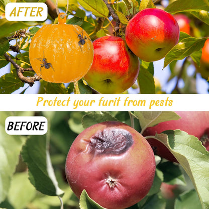 Qualirey 10 Set Sticky Fruit Fly Trap Balls Yellow Adhesive Fungus Gnat Sticky Balls for Plants Fly Catching Sticky Balls Indoor Outdoor Garden Kitchen Fly Gnat Flying Insects Trap Ball Traps