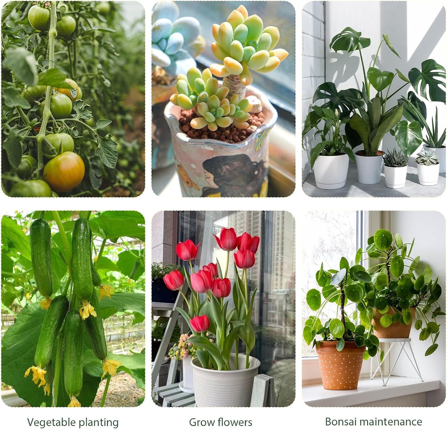 5 Pack Stackable Monstera Plant Support, 2025 New Plant Stakes for Indoor and Outdoor Plants Use, Garden Stakes for Climbing and Potted Plants, Pothos, Philodendron (5 Pack)