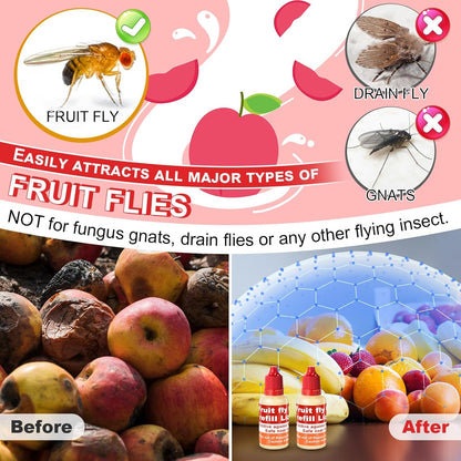 Qualirey Fruit Fly Trap for Indoors, 4 Pack Fruit Fly Trap with 4 Refill Liquid and 60 Yellow Sticky Pads, Safe Near Pets, Food and Kids, Fruit Flies Lure Liquid Trap for Home Kitchen