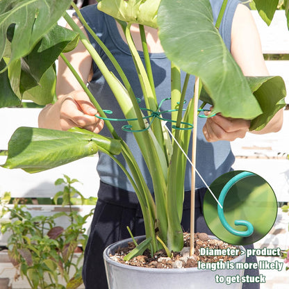 Yohsnor Monstera Plant Stem Support System - 5 Piece Set (5.5x4.7in) | Durable Plant Support Stakes for Climbing Plants & Fishbone Cactus | Ideal Leaf Stabilizer for Indoor Plants & Monstera Care